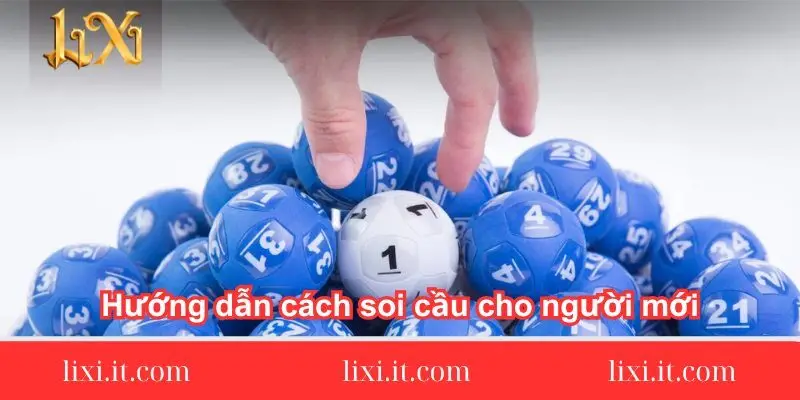 huong-dan-cach-soi-cau-cho-nguoi-moi