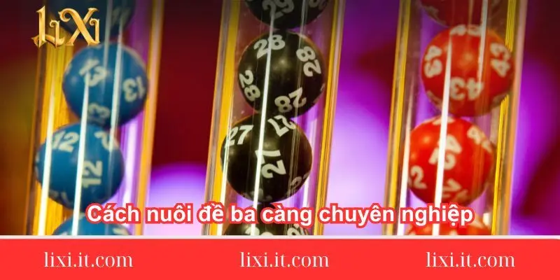cach nuoi de ba cang chuyen nghiep 1 cach-nuoi-de-ba-cang-chuyen-nghiep