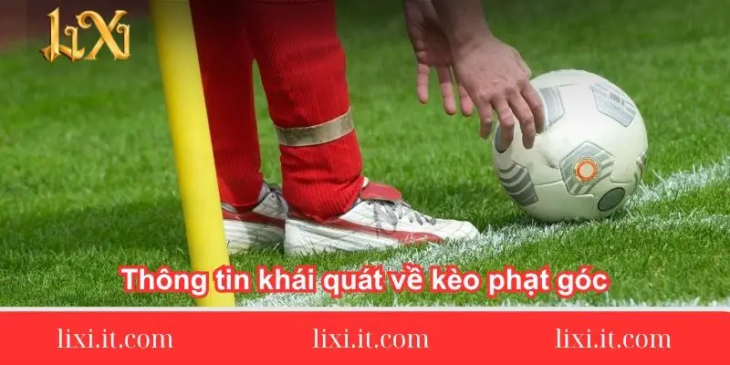 thong-tin-khai-quat-ve-keo-phat-goc
